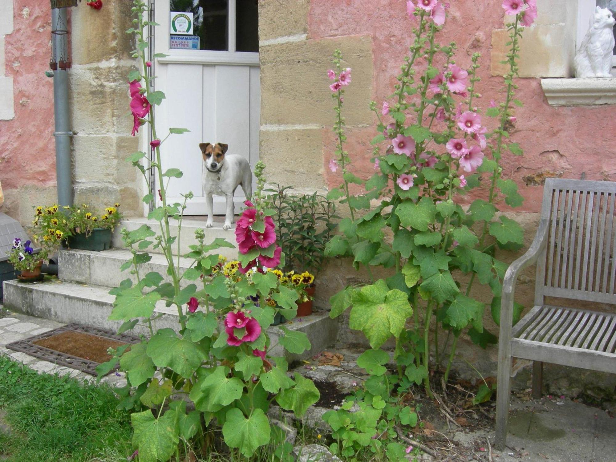 مبيت وإفطار سيرُجي La Ferme Rose المظهر الخارجي الصورة